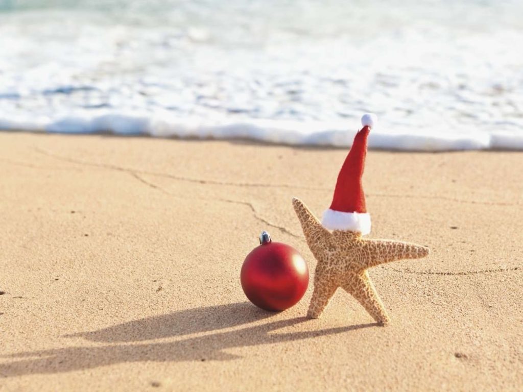 Starfish Christmas On The Beach Standard